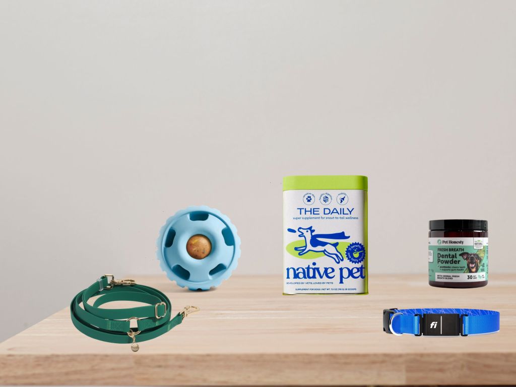 5 Dog Products That Are Actually Worth the&nbsp;Hype