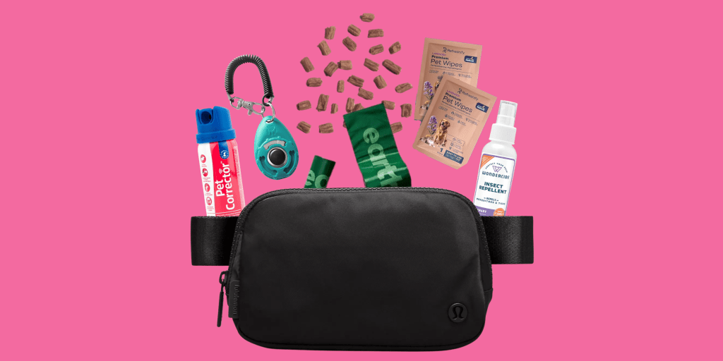 What’s in My Dog Walking Bag: Everyday Essentials for Walks with&nbsp;Todd