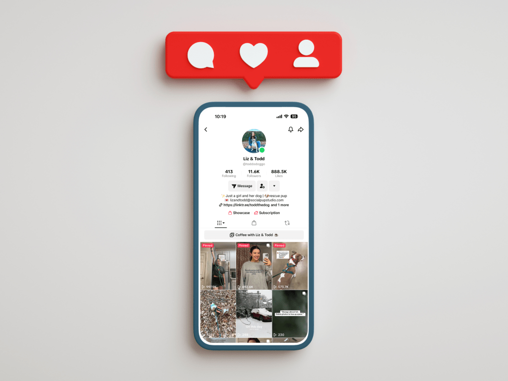 How to Start as a Dog Influencer: The Beginner&nbsp;Basics