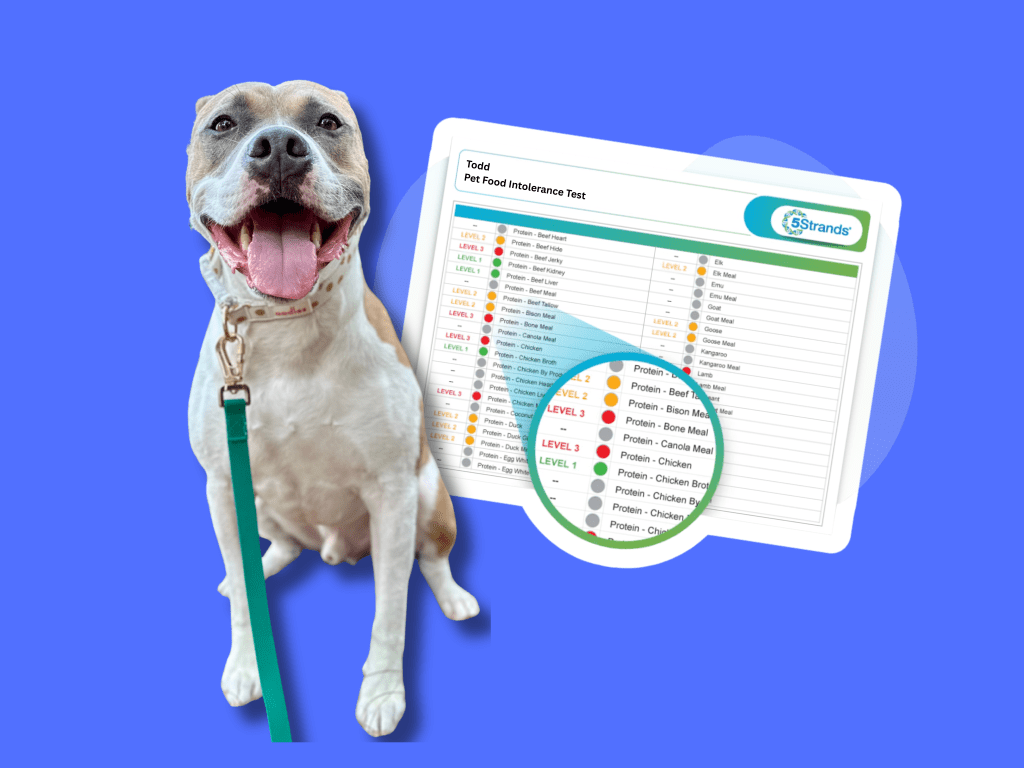 Todd’s Food Intolerance Journey: How We Finally Figured Out Why He Was So&nbsp;Itchy