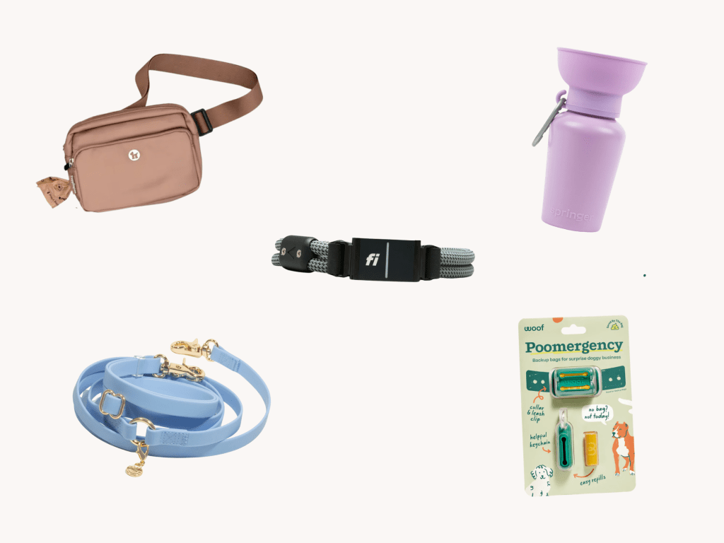 My Top 5 Dog Walking&nbsp;Essentials